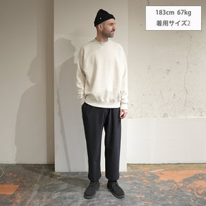 AZUMA BRUSHED SWEAT MOCKNECK